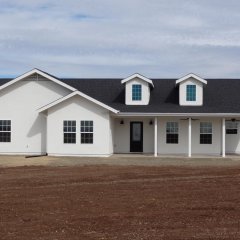 T_DSC003382